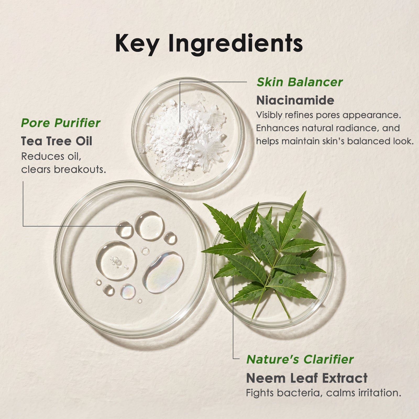 Neem AC Gel - Oil Control Moisturizing Gel for Acne-Prone Skin ARWIN BIOCHEM